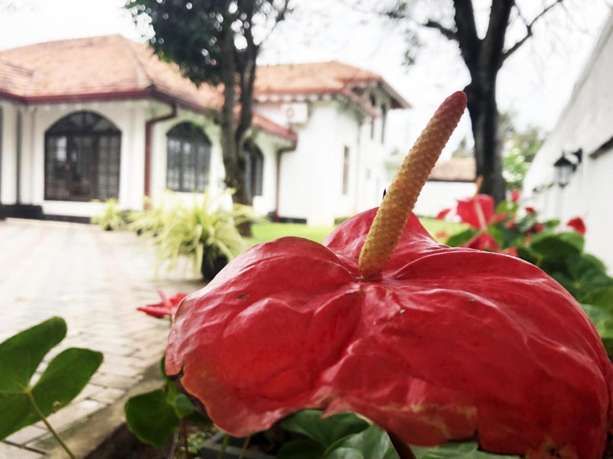 Grand Villa Negombo Exterior foto